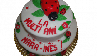 tort-copii-2